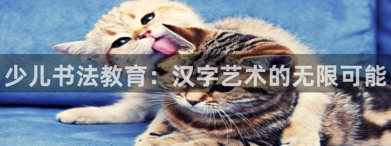 cq9传奇电子公司